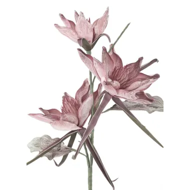 EPIPHY HUM X3 ROSA 35X98 cm MIN 8